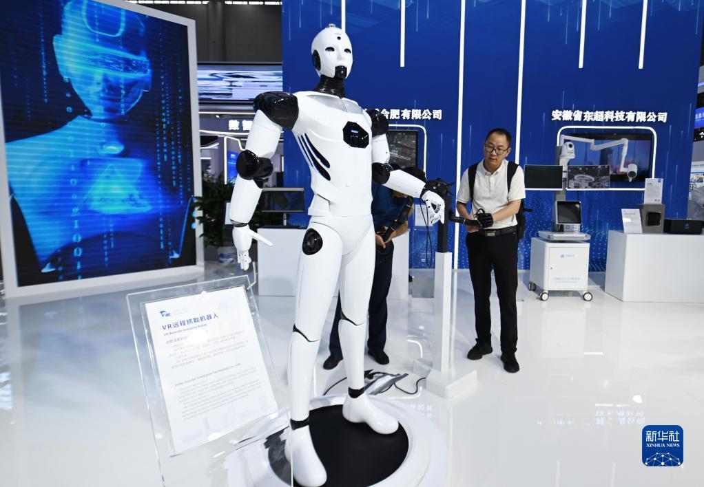 白菜现金网官方网站